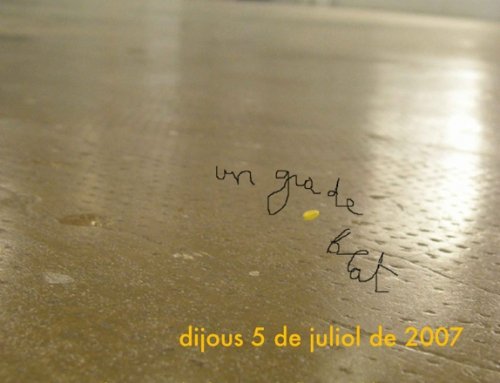 Un grà de blat. Exposición retrospectiva de Marta Darder. Barcelona 2007