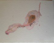 L'Herba Fresca. Pintura. 2008.