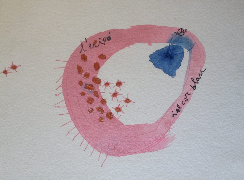 l erico i el cor blau marta darder pintura