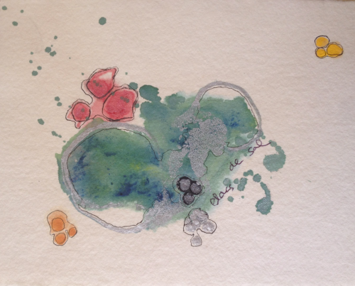 llacs de sal marta darder pintura